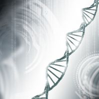 Scientists proves DNA can be reprogrammed