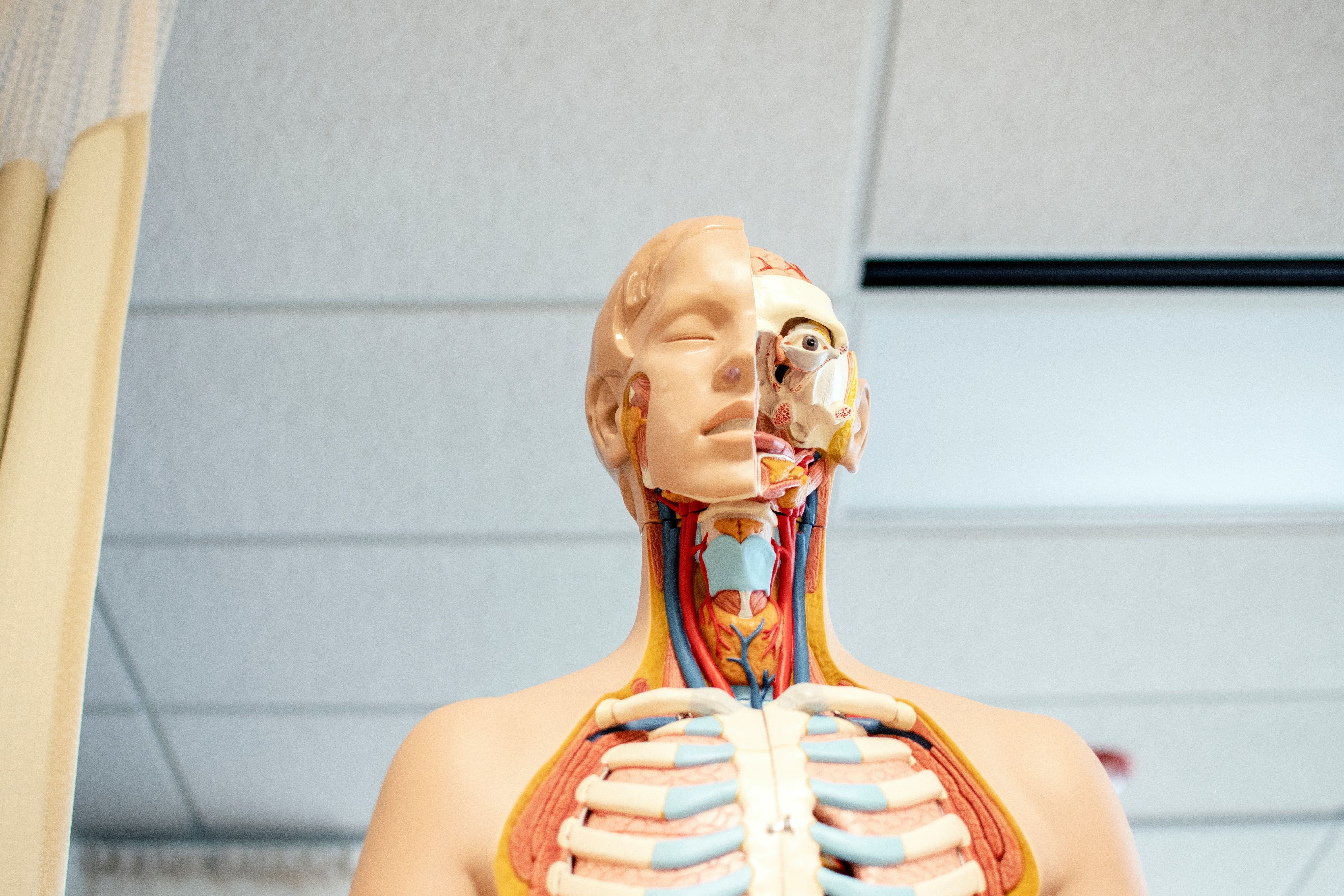 our organs have their own consciousness